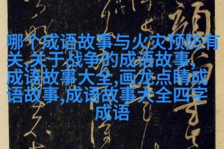 探索“命”与“西”的成语之道，揭示人生智慧之光