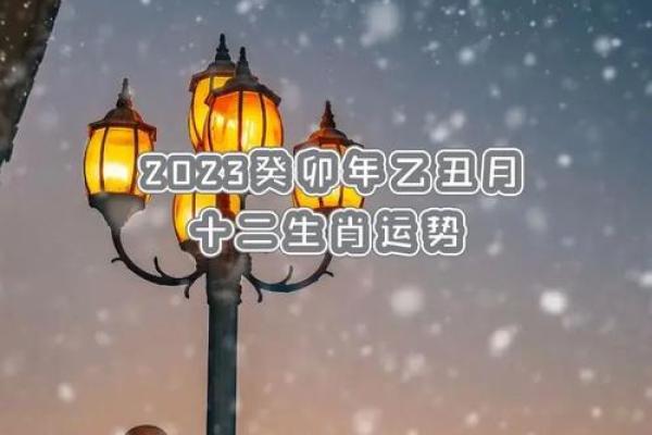 2023年正月运势解析：了解你的命运与生活的变化