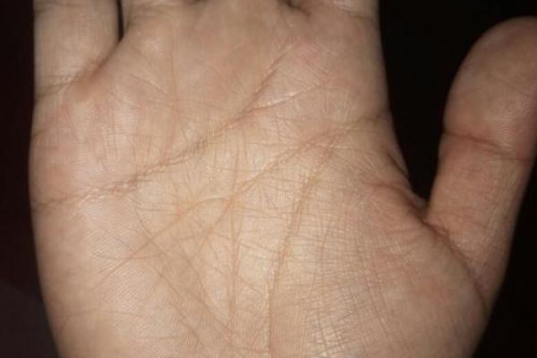 2031年金命解析:寻找命运与财富的平衡之道 2031年金命解析:寻找命运与财富的平衡之道