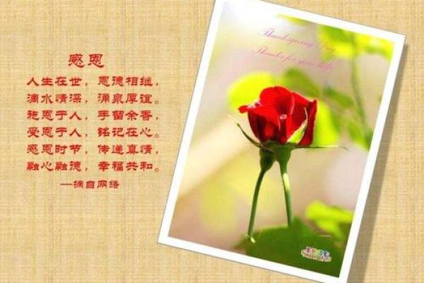 命里桃花贵人:解开你命运中的魅力与幸运之谜 命里桃花贵人:解开你命运中的魅力与幸运之谜