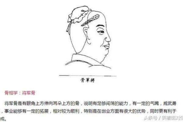 揭秘骨相与女人富贵命的奥秘,助你走向人生巅峰 揭秘骨相与女人富贵命的奥秘,助你走向人生巅峰