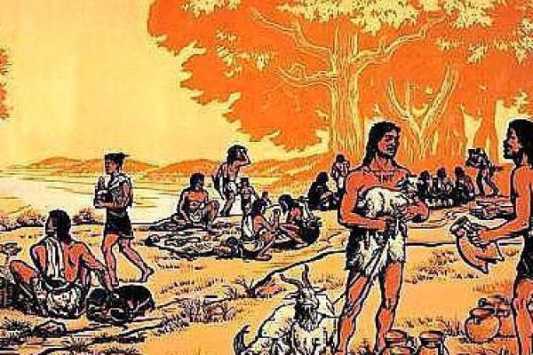 当人类文明与动物生命碰撞时，谁的命更珍贵？