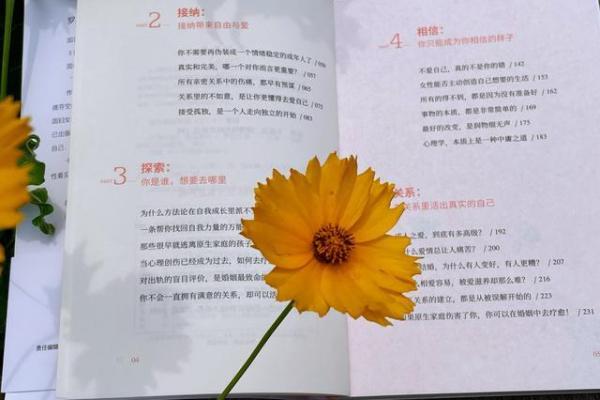 木命女性成长道路上的必备指南:注意事项与心灵成长 木命女性成长道路上的必备指南:注意事项与心灵成长