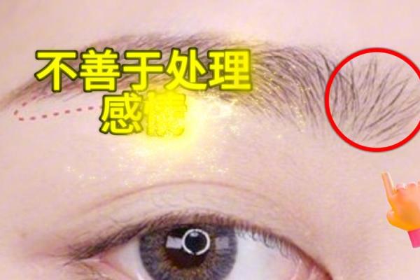 黑眉毛的人命运解析:揭开眉毛与命理之间的奥秘 黑眉毛的人命运解析:揭开眉毛与命理之间的奥秘