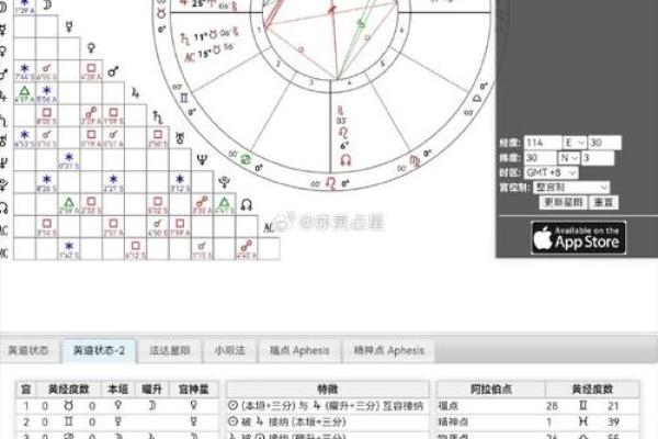阿蝉命盘的主星解析:揭秘命理背后的智慧与秘密 阿蝉命盘的主星解析:揭秘命理背后的智慧与秘密