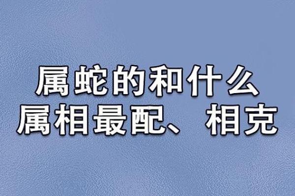 1986年是虎年，揭秘虎命的传奇人生与性格特征！