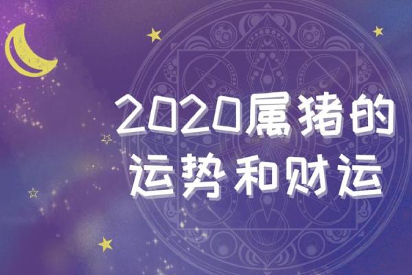 了解36属猪人的命理特征与性格解析 了解36属猪人的命理特征与性格解析