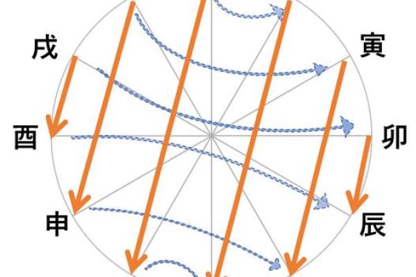 了解36属猪人的命理特征与性格解析 了解36属猪人的命理特征与性格解析