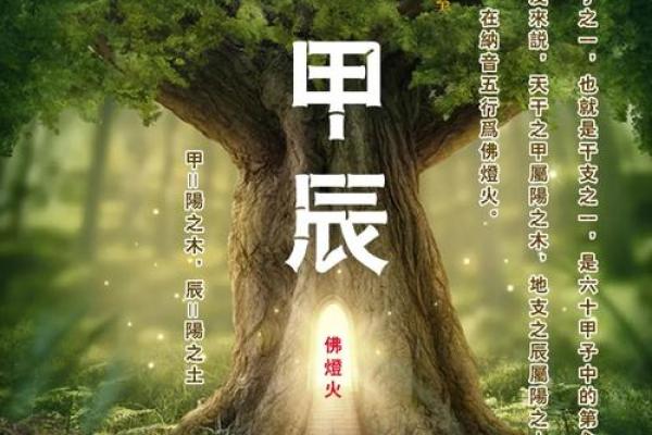 揭秘女子命格:影响命运的秘密与转变 揭秘女子命格:影响命运的秘密与转变