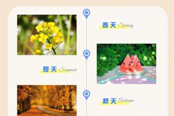 揭秘1987年8月24日出生者的命运与性格分析 揭秘1987年8月24日出生者的命运与性格分析