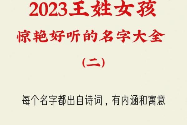 2023属兔人如何利用命理提升运势与生活品质 2023属兔人如何利用命理提升运势与生活品质