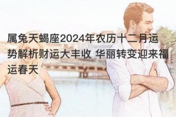 2023属兔人如何利用命理提升运势与生活品质 2023属兔人如何利用命理提升运势与生活品质