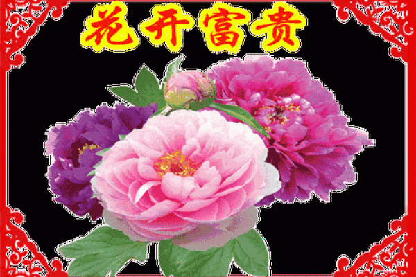 火命者的手把件选择:点燃好运与福气的秘密 火命者的手把件选择:点燃好运与福气的秘密