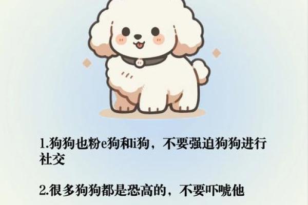 为什么命运不允许你养犬?揭开背后的秘密与故事 为什么命运不允许你养犬?揭开背后的秘密与故事