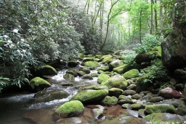 探索日柱乙亥象征的命运与人生之道 探索日柱乙亥象征的命运与人生之道