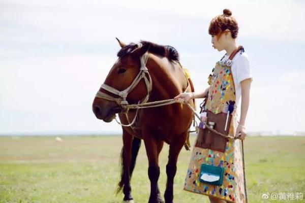 1966年出生的男马会有哪些命运和性格特征? 1966年出生的男马会有哪些命运和性格特征?