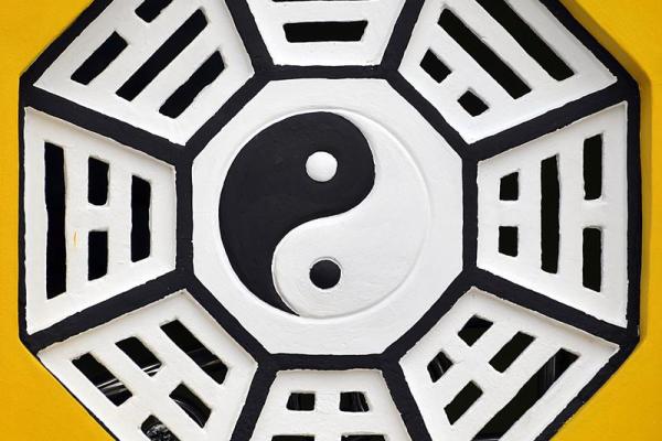 丙火命:生肖背后的热情与力量,探索命理的奥秘 丙火命:生肖背后的热情与力量,探索命理的奥秘