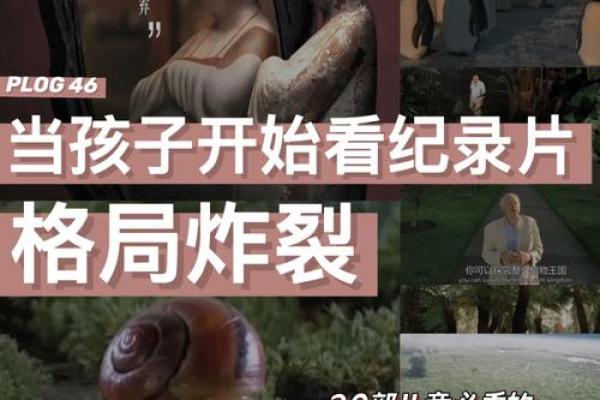 探索命名之道：如何通过命名理解不同格局的奥秘