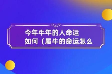 1997年出生人的命运与性格分析：揭开属牛的神秘面纱