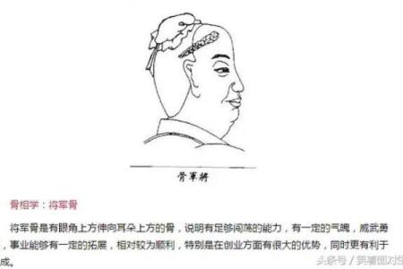 揭秘骨相与女人富贵命的奥秘，助你走向人生巅峰