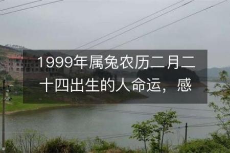 1995年出生的农历命人：探秘命运与性格的奥秘