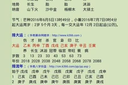 1980年命格分析：揭示生辰八字中的喜用神之谜