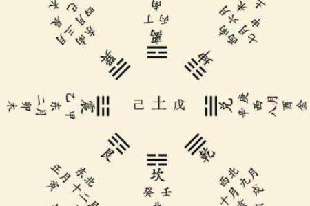 2020年初生之命：解析如何发挥自己的潜力与才能