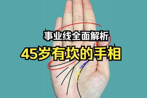 手相揭秘:暗示命格的男士之路与人生智慧 手相揭秘:暗示命格的男士之路与人生智慧