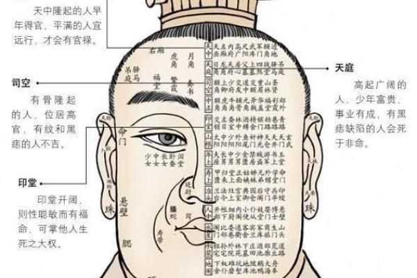 眉毛稀少的命运解析:从面相看你的运势影响 眉毛稀少的命运解析:从面相看你的运势影响