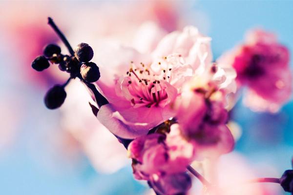 解读女性命格特征,揭示生活中的潜在影响力与幸福之道 解读女性命格特征,揭示生活中的潜在影响力与幸福之道