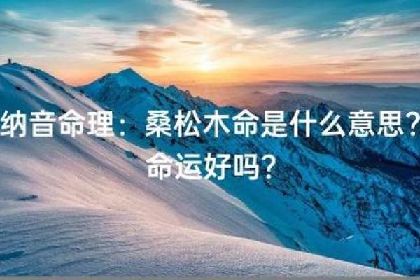 探索命理:命运的角色与影响,解析怎样的命最好与不好 探索命理:命运的角色与影响,解析怎样的命最好与不好