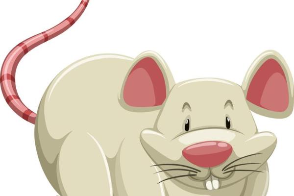 1972年属鼠男的命运揭秘:聪明与挑战并存的幸福人生 1972年属鼠男的命运揭秘:聪明与挑战并存的幸福人生