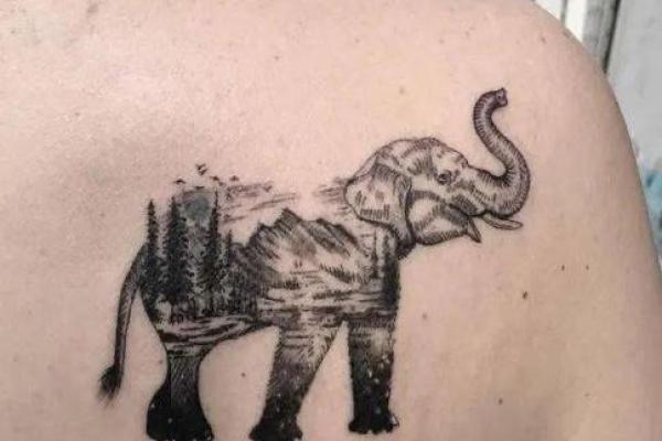 火牛命的纹身选择与独特寓意解析 火牛命的纹身选择与独特寓意解析