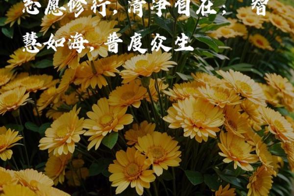 通过念经改命的最快方法:灵性修行为您带来新生 通过念经改命的最快方法:灵性修行为您带来新生