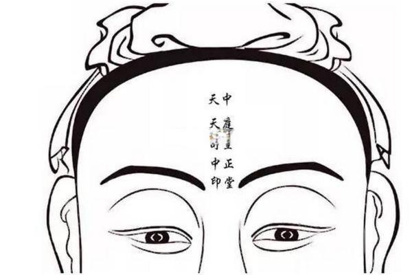 揭开额头不平之谜:命运与面相的潜在联系 揭开额头不平之谜:命运与面相的潜在联系