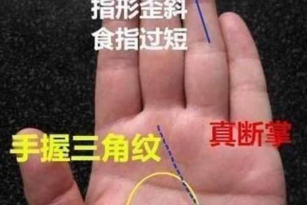 揭秘男3.9两的命理解析:你的命运藏在细微之中! 揭秘男3.9两的命理解析:你的命运藏在细微之中!