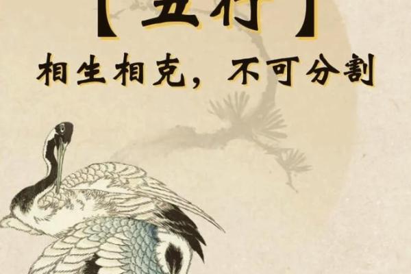 子鼠水命喜什么颜色?揭开五行命理的奥秘 子鼠水命喜什么颜色?揭开五行命理的奥秘