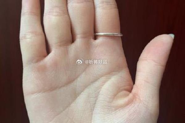 揭秘:手相最厚实的命女士,命运独具风采! 揭秘:手相最厚实的命女士,命运独具风采!