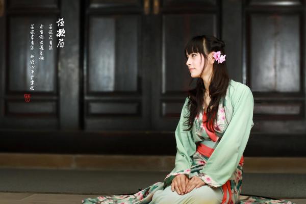 揭开古代丫鬟命运之谜:她们的生活与心声 揭开古代丫鬟命运之谜:她们的生活与心声