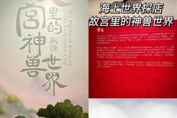 解密生肖龙男:命格与人生的奇妙联系 解密生肖龙男:命格与人生的奇妙联系