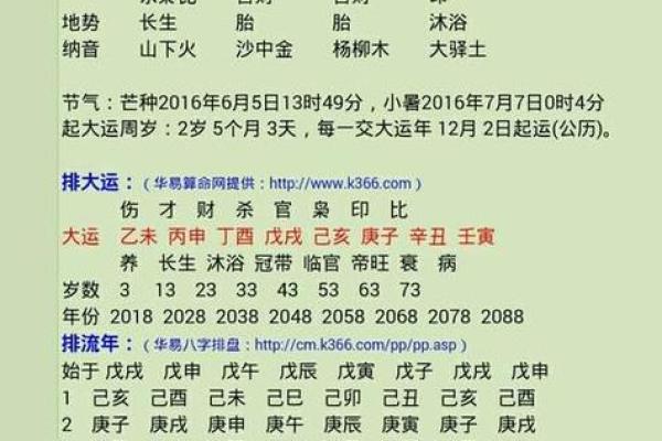 2004年出生的蛇年命运解析：从五行看性格与运势