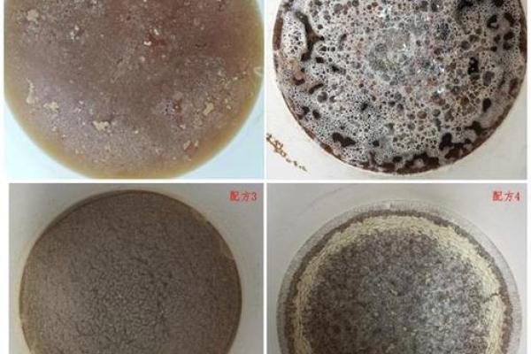 根据命格选择最佳养殖项目,解密致富之道! 根据命格选择最佳养殖项目,解密致富之道!