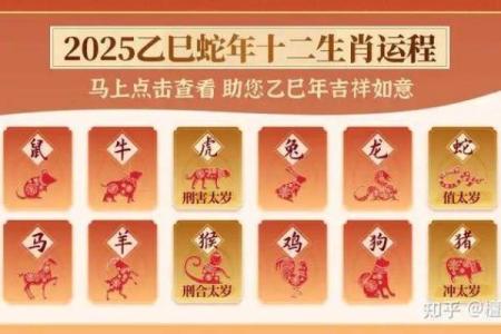 2013蛇年运势解析：魅力与挑战并存的转折年