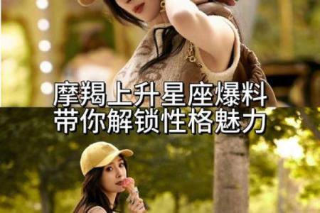 揭开神秘面纱：星座与命星的奇妙联系