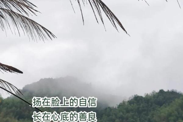 一命与灵命的较量：生命深处的真相与探索