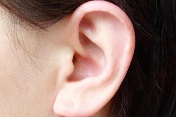 耳朵厚的人命运解析:厚耳朵与人生幸福的秘密 耳朵厚的人命运解析:厚耳朵与人生幸福的秘密