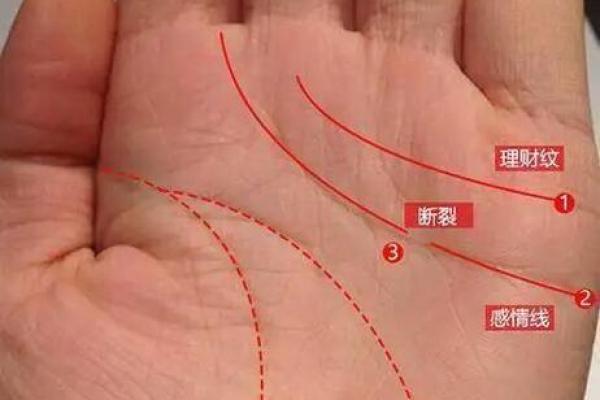 大拇指粗大的人命运解析:你的性格与人生走向! 大拇指粗大的人命运解析:你的性格与人生走向!