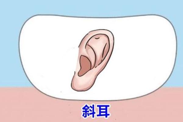 耳朵在鼻子上方的命运解析:生活中的奇妙玄机 耳朵在鼻子上方的命运解析:生活中的奇妙玄机