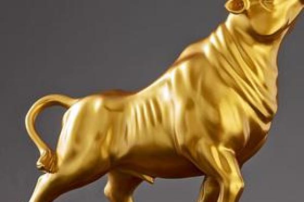 揭秘水命者必备的黄金饰品,让你运势如虹! 揭秘水命者必备的黄金饰品,让你运势如虹!