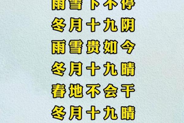 冬月十九出生的人:命理解析与人生运势 冬月十九出生的人:命理解析与人生运势